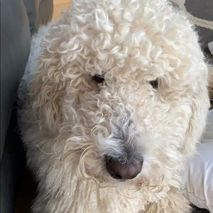 Meet your Posher, Ericka